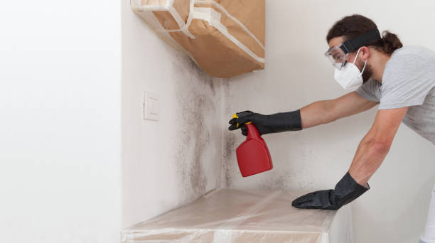 Professional Mold Remediation technician working in Central Lake, MI